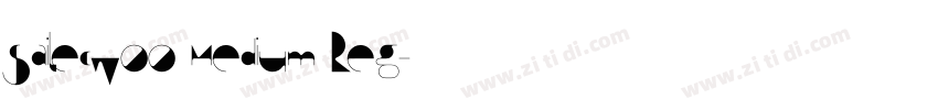 SailecW00 Medium Reg字体转换